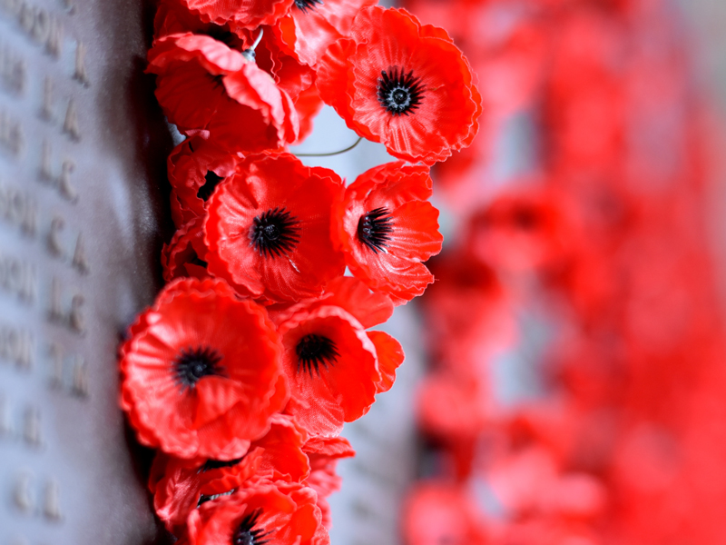 Anzac Day in Canberra – The Bright Autumn Festival