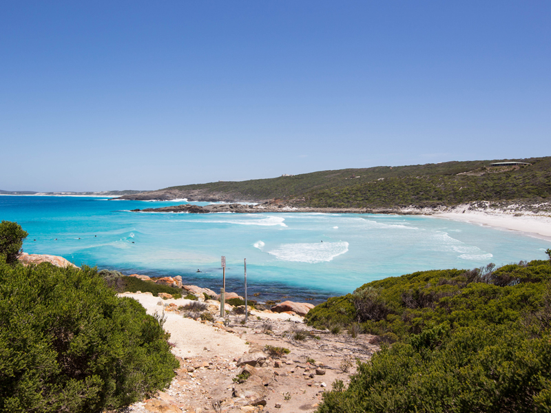 Western Australia - Wildflower Discoveries & South Coast - Image 8