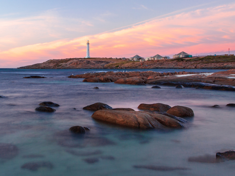 Western Australia - Wildflower Discoveries & South Coast - Image 6