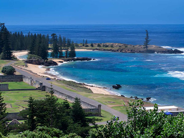 Norfolk Island Spring