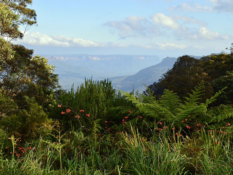 Blue Mountains & Hawkesbury River Cruise