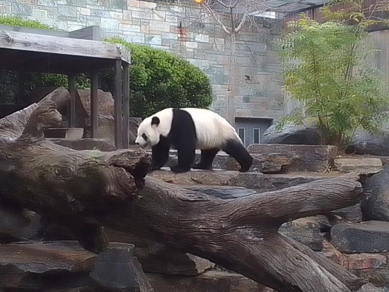 Adelaide Zoo